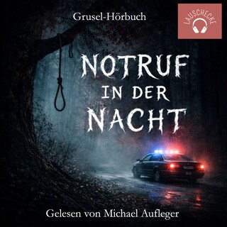 Notruf in der Nacht als Hörbuch