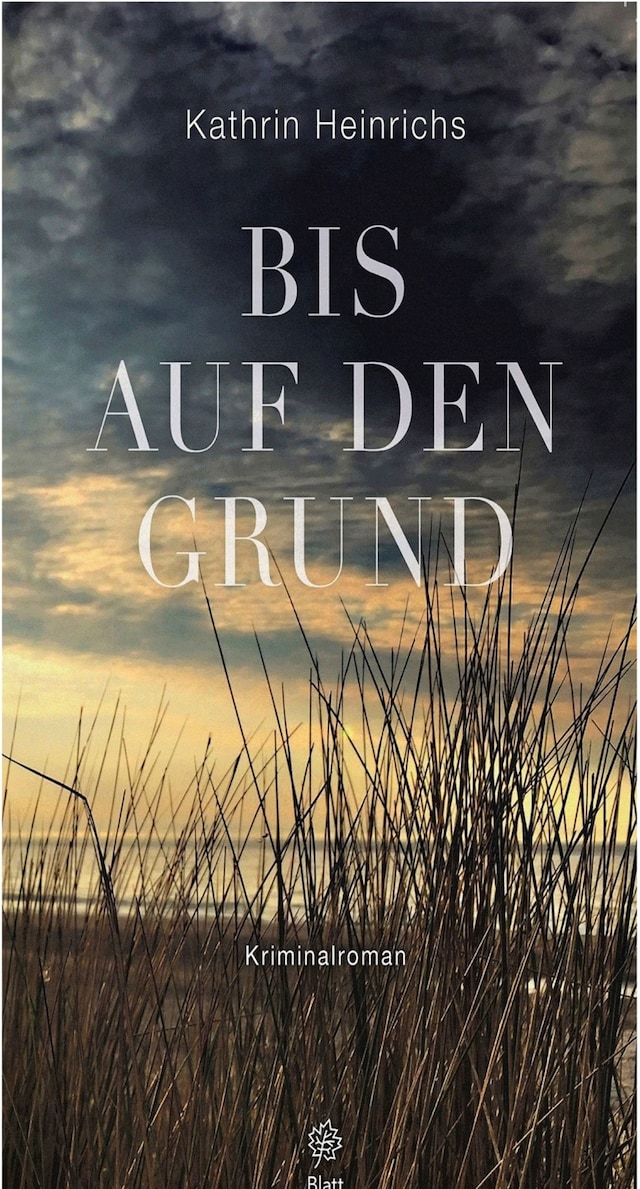 Book cover for Bis auf den Grund