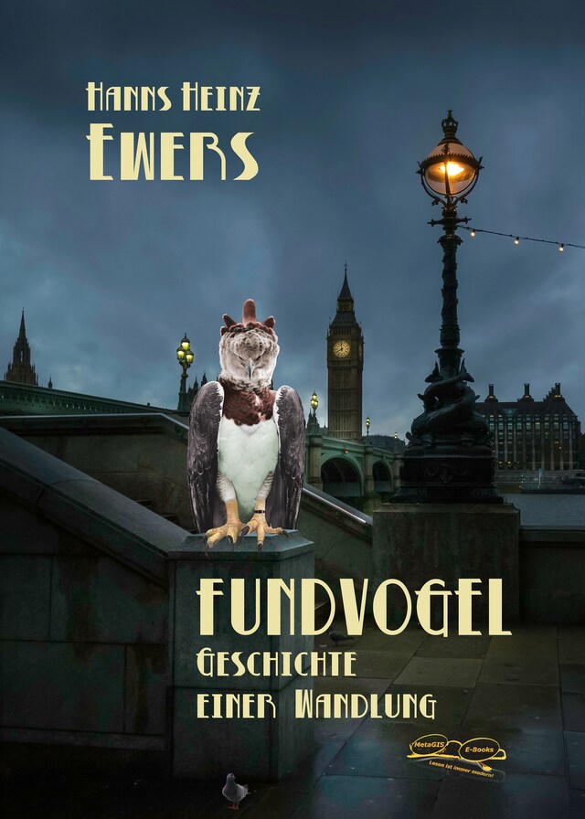 Book cover for Fundvogel