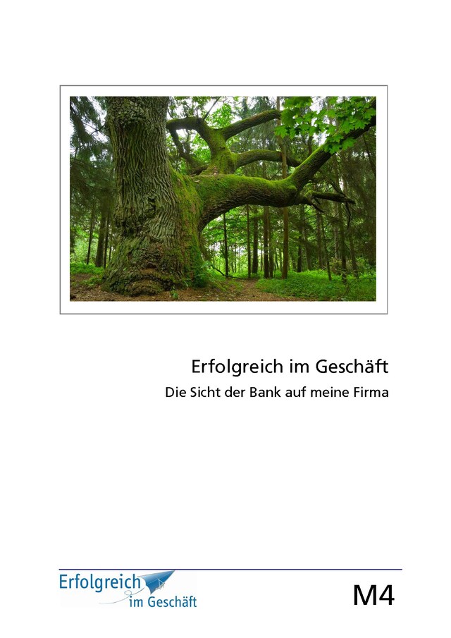 Boekomslag van Modul 4: Die Sicht der Bank auf meine Firma