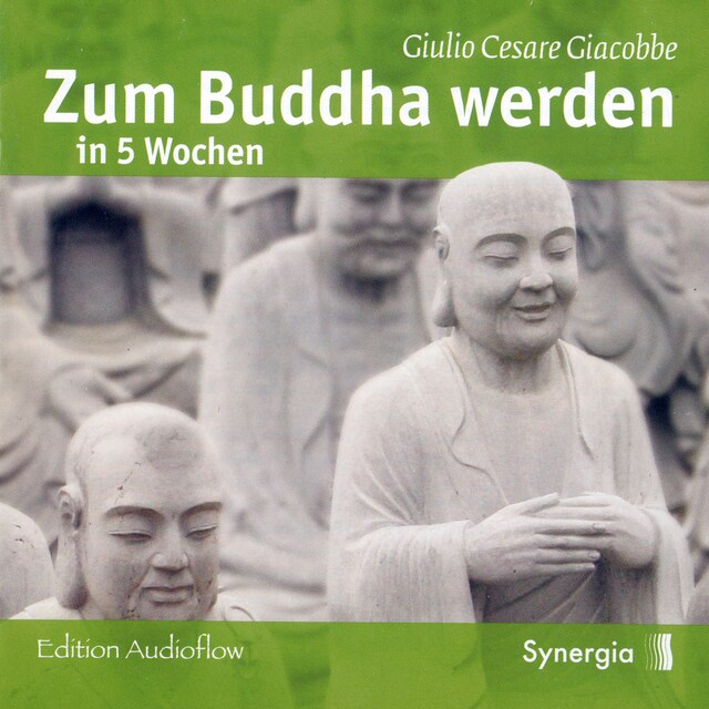 Buchcover für Zum Buddha werden in 5 Wochen
