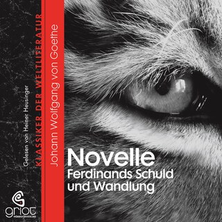Die Novelle / Ferdinands Schuld und Wandlung als Hörbuch