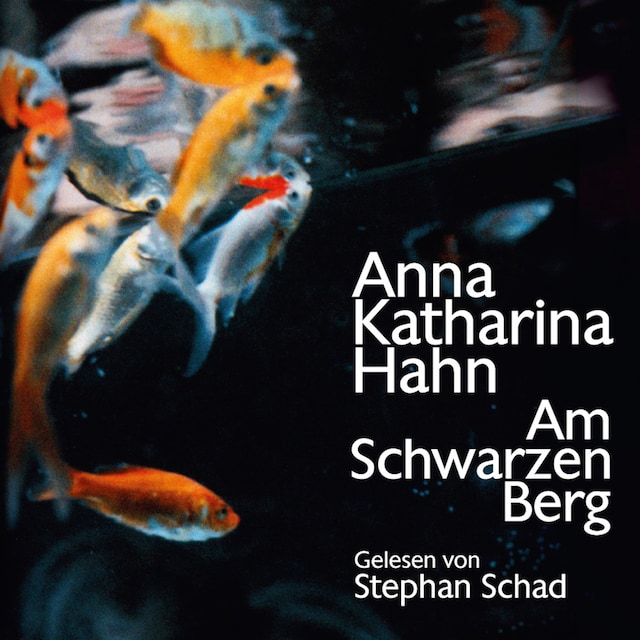 Book cover for Am schwarzen Berg