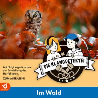 Im Wald - Klangdetektei, Folge 1 (Ungekürzt) als Hörbuch