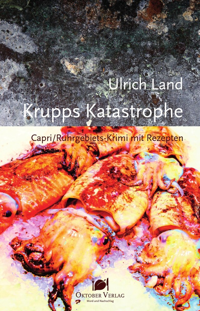 Book cover for Krupps Katastrophe