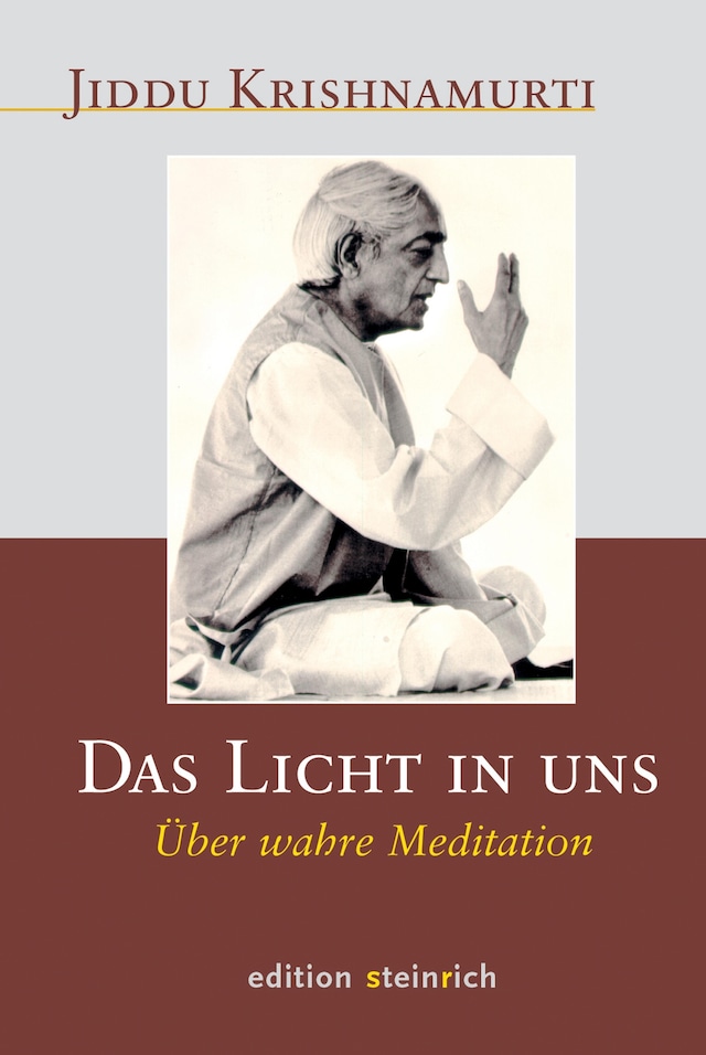 Book cover for Das Licht in uns