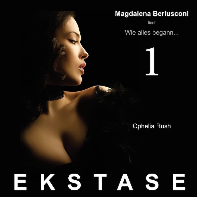 Book cover for Ekstase - Wie alles begann...