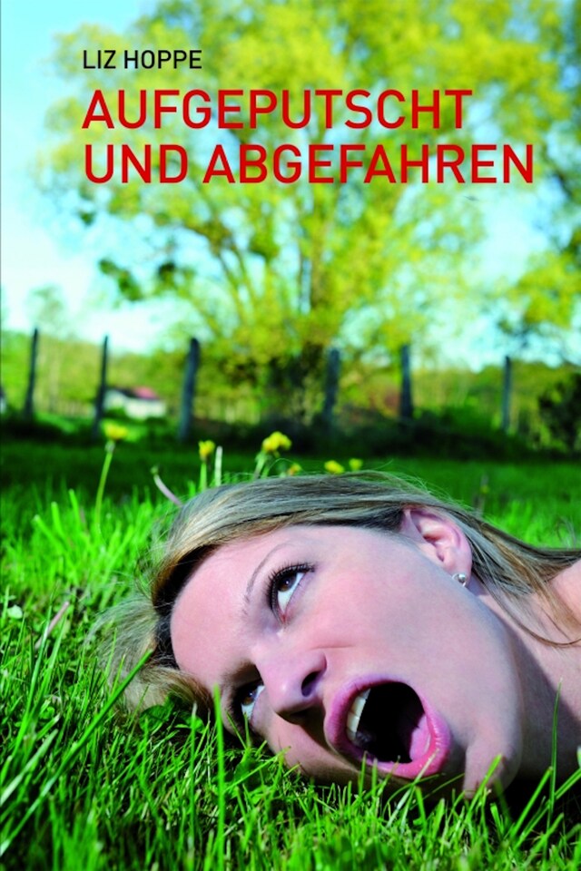 Copertina del libro per Aufgeputscht und abgefahren