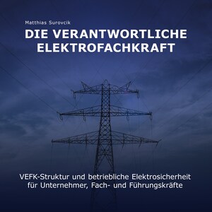 Die Verantwortliche Elektrofachkraft bookCoverFor