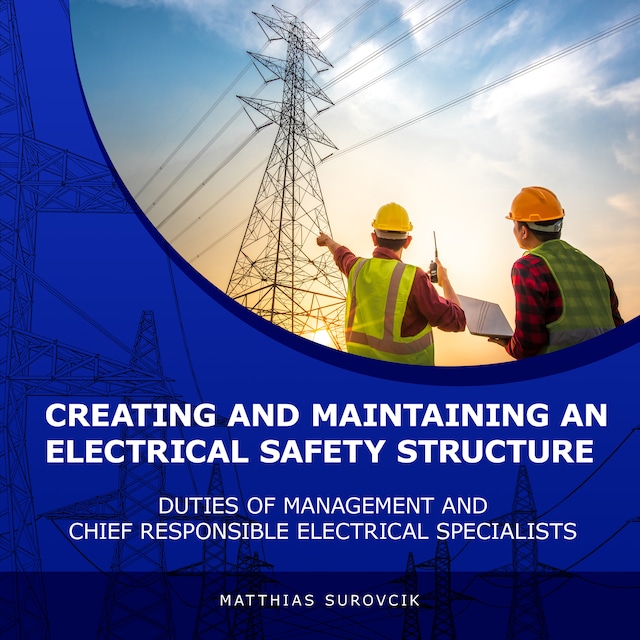 Book cover for Creating and Maintaining an Electrical Safety Structure