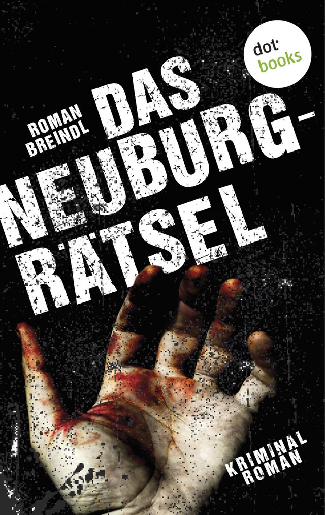 Copertina del libro per Das Neuburg-Rätsel