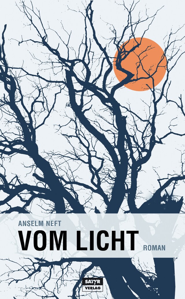 Book cover for Vom Licht