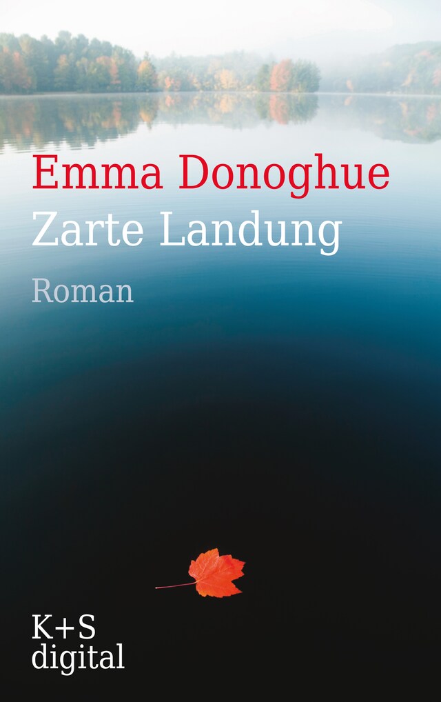 Buchcover für Zarte Landung