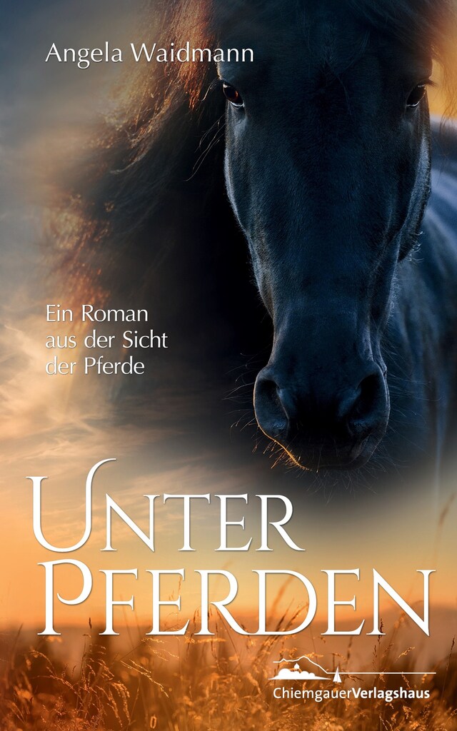 Book cover for Unter Pferden