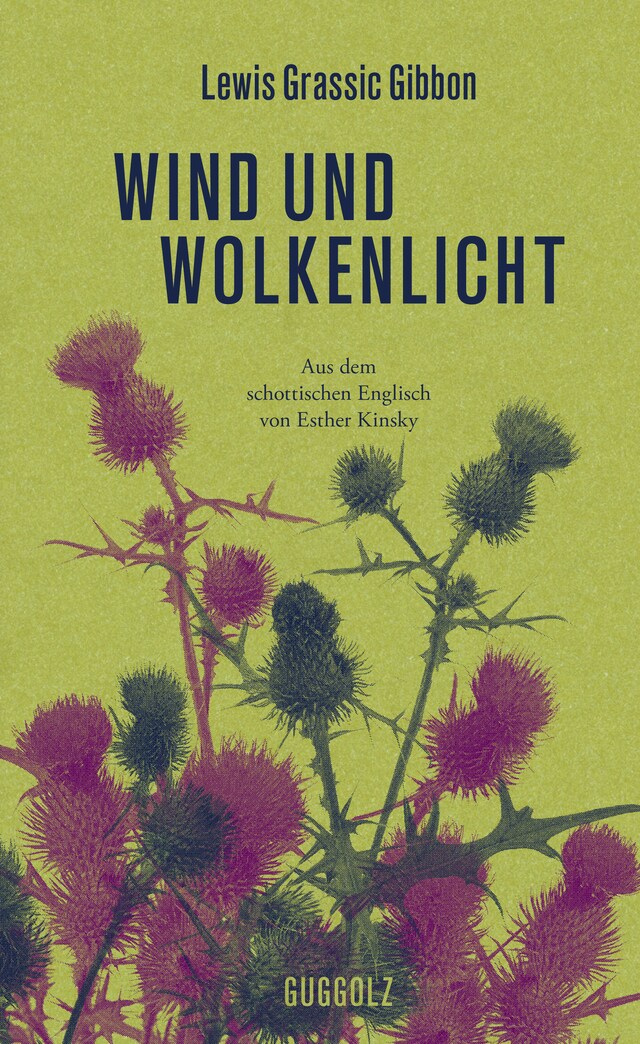 Okładka książki dla Wind und Wolkenlicht