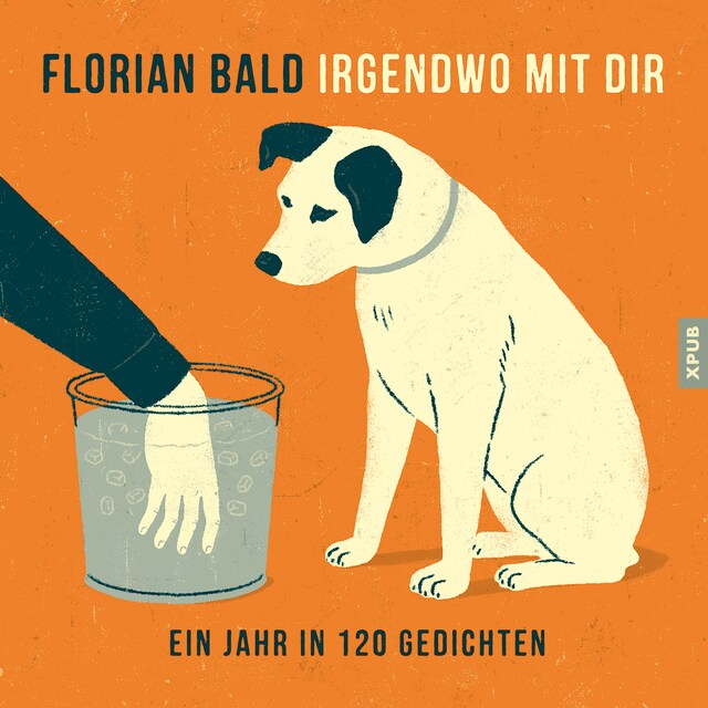 Book cover for Irgendwo mit dir