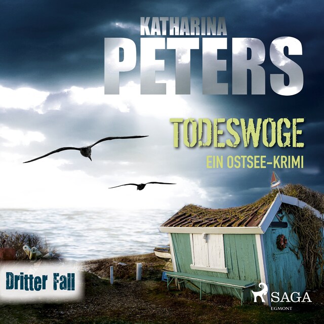 Book cover for Todeswoge: Ein Ostsee-Krimi (Emma Klar ermittelt 3)