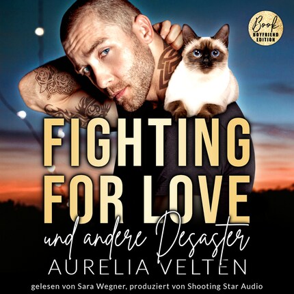 Fighting for Love und andere Desaster - Boston In Love, Band 4 (ungekürzt) bookCoverFor