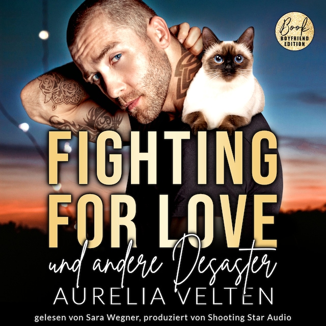 Book cover for Fighting for Love und andere Desaster - Boston In Love, Band 4 (ungekürzt)