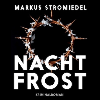 Nachtfrost als Hörbuch