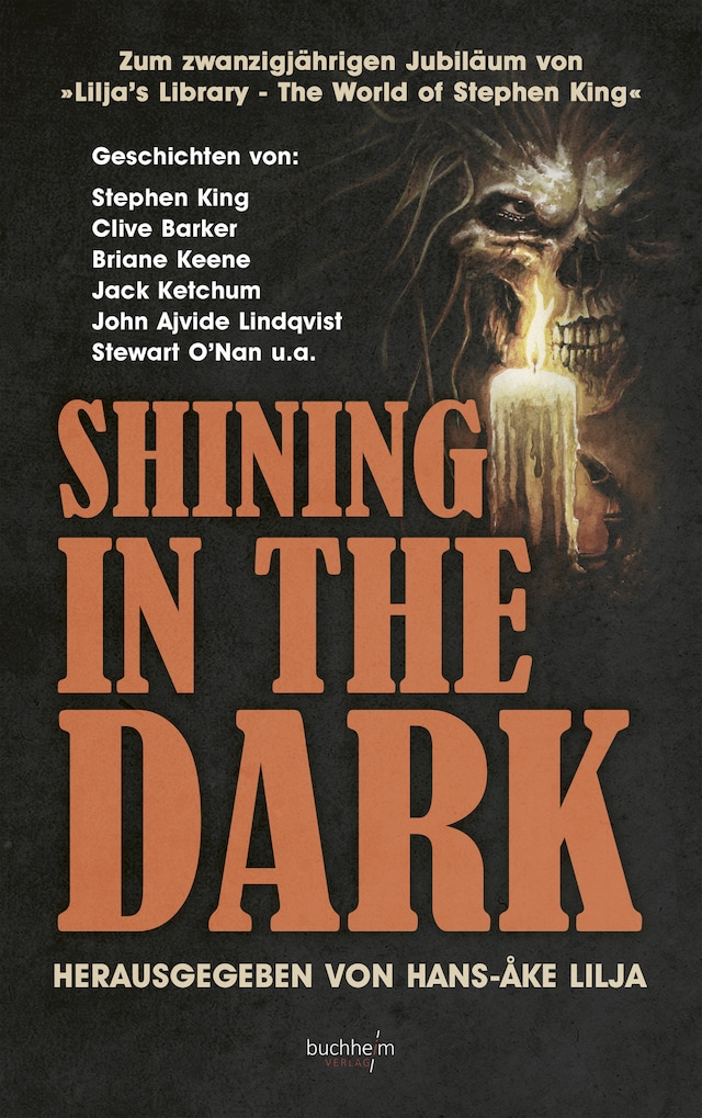 SHINING IN THE DARK Book cover for SHINING IN THE DARK