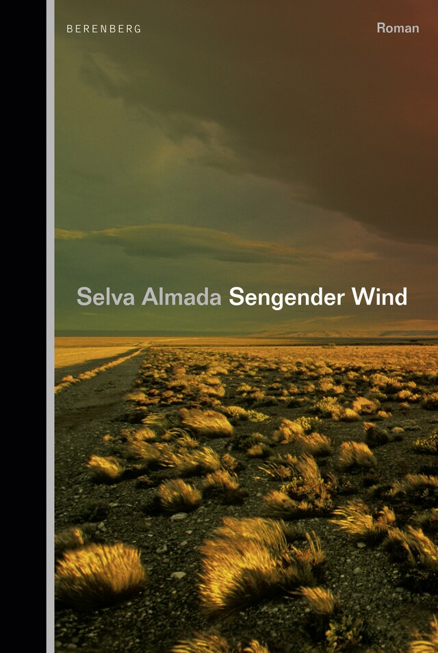 Book cover for Sengender Wind