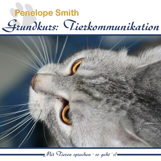 Grundkurs: Tierkommunikation als Hörbuch