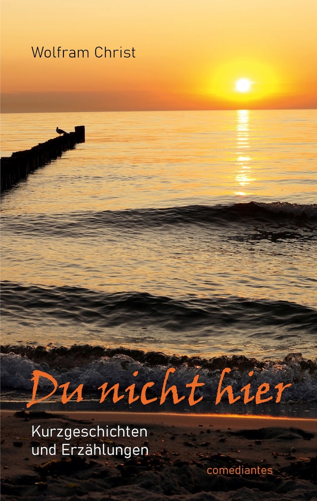 Book cover for Du nicht hier