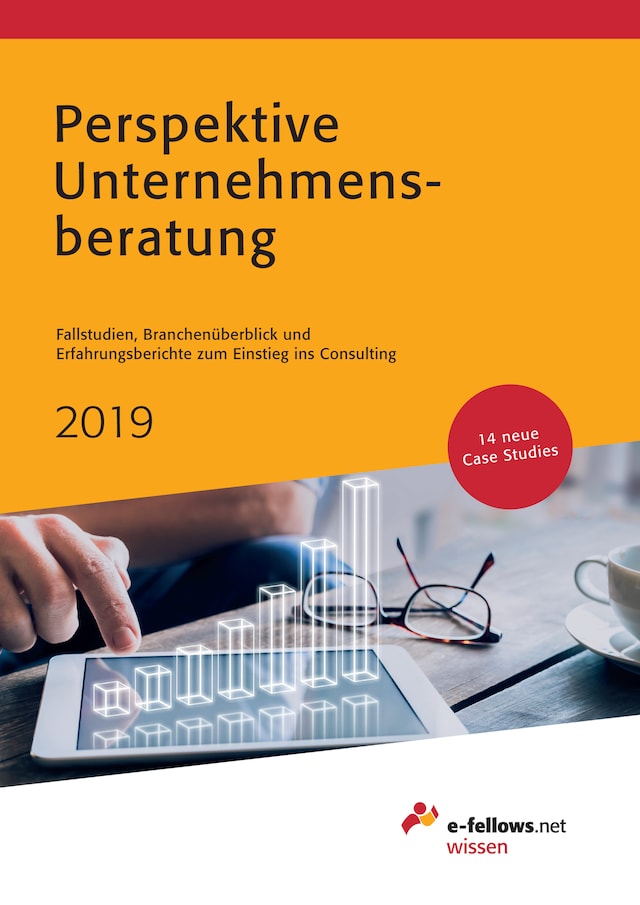 Copertina del libro per Perspektive Unternehmensberatung 2019