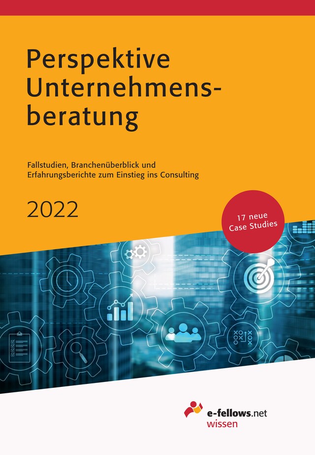 Copertina del libro per Perspektive Unternehmensberatung 2022