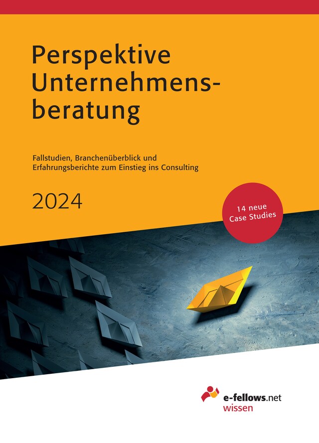 Portada de libro para Perspektive Unternehmensberatung 2024