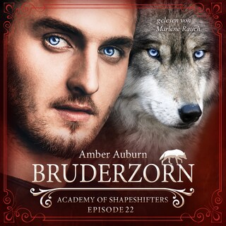 Bruderzorn, Episode 22 - Fantasy-Serie als Hörbuch