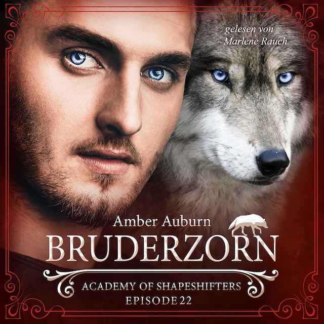 Book cover for Bruderzorn, Episode 22 - Fantasy-Serie
