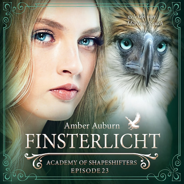 Book cover for Finsterlicht, Episode 23 - Fantasy-Serie