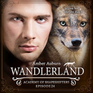 Wandlerland, Episode 24 - Fantasy-Serie als Hörbuch