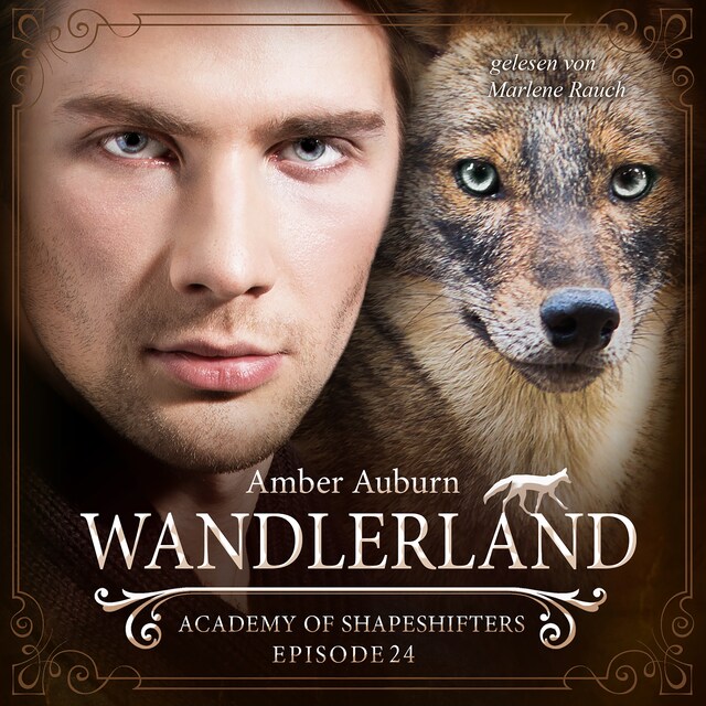 Book cover for Wandlerland, Episode 24 - Fantasy-Serie