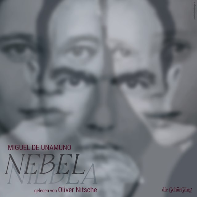 Book cover for Nebel
