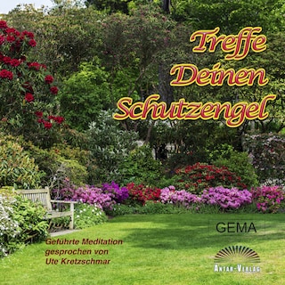 Treffe Deinen Schutzengel als Hörbuch