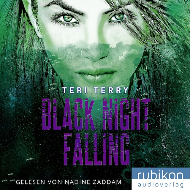 Book cover for Black Night Falling