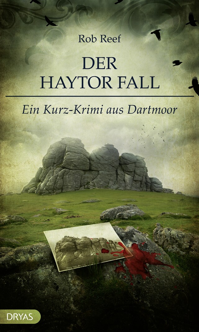 Buchcover für Der Haytor Fall