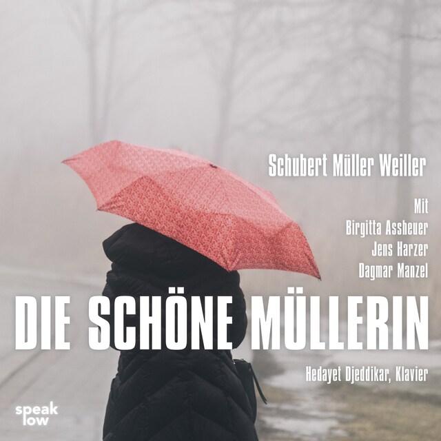 Book cover for Die schöne Müllerin
