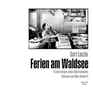Ferien am Waldsee als Hörbuch