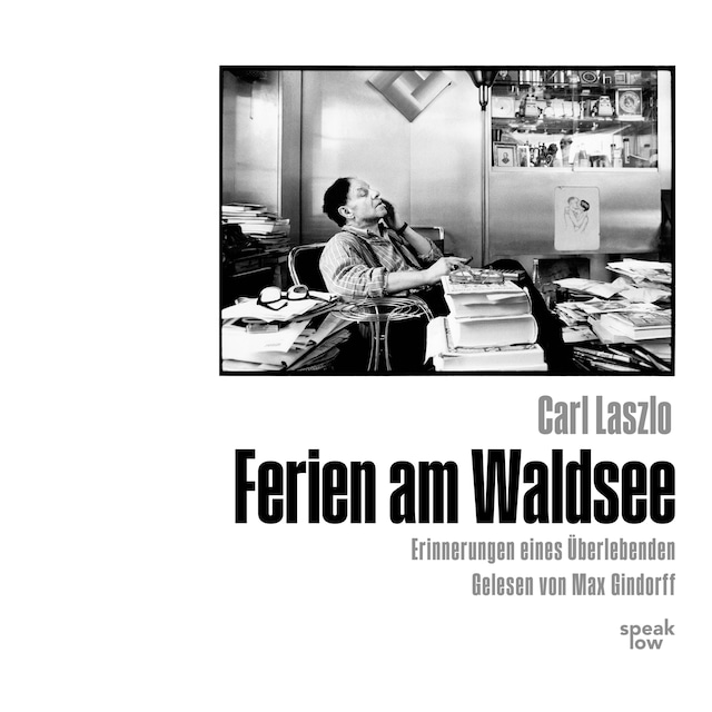 Couverture de livre pour Ferien am Waldsee