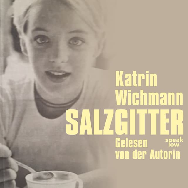 Book cover for Salzgitter