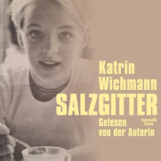 Salzgitter als Hörbuch
