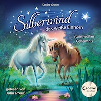 Silberwind, das weiße Einhorn (Band 4) - Sturmwolkes Geheimnis