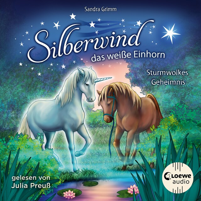 Book cover for Silberwind, das weiße Einhorn (Band 4) - Sturmwolkes Geheimnis
