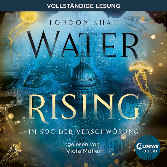 Book cover for Water Rising (Band 2) - Im Sog der Verschwörung
