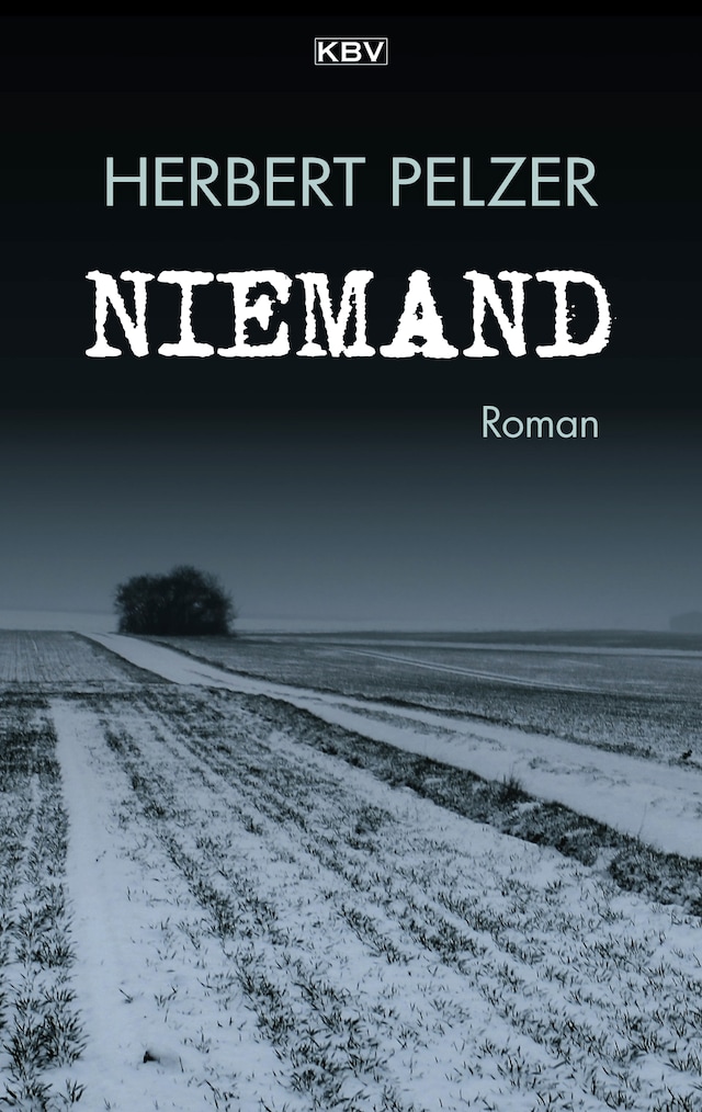 Book cover for Niemand
