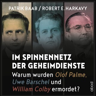 Im Spinnennetz der Geheimdienste als Hörbuch
